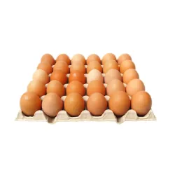 Cartón de huevo marrones frescos 