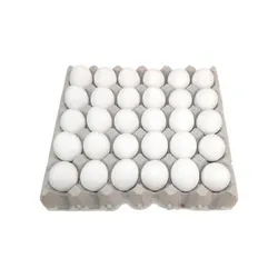 Cartón de huevo blanco frescos
