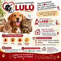 Consultorio Veterinario LULÚ - Domicilio Disponible (Kinetica)
