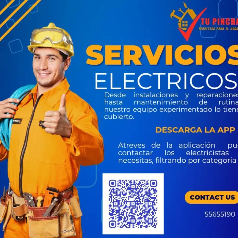 Electricistas Profesionales a su disposición 