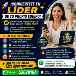 Oferta de trabajo desde casa sin inversión (Kinetica)