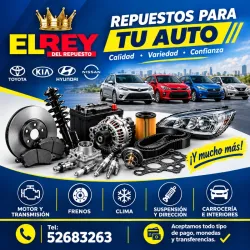 Piezas y Repuestos de Primera Calidad Para Tu Auto (Kinetica)