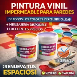 Pintura Vinil – excelente calidad y precio