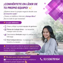 🚀 Trabajo Online desde casa – Sin inversión (kinetica)