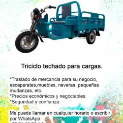 Triciclo Techado Para Cargas