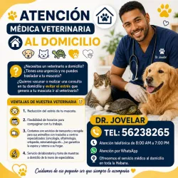 Veterinario a domicilio en La Habana – Dr. Jovelar