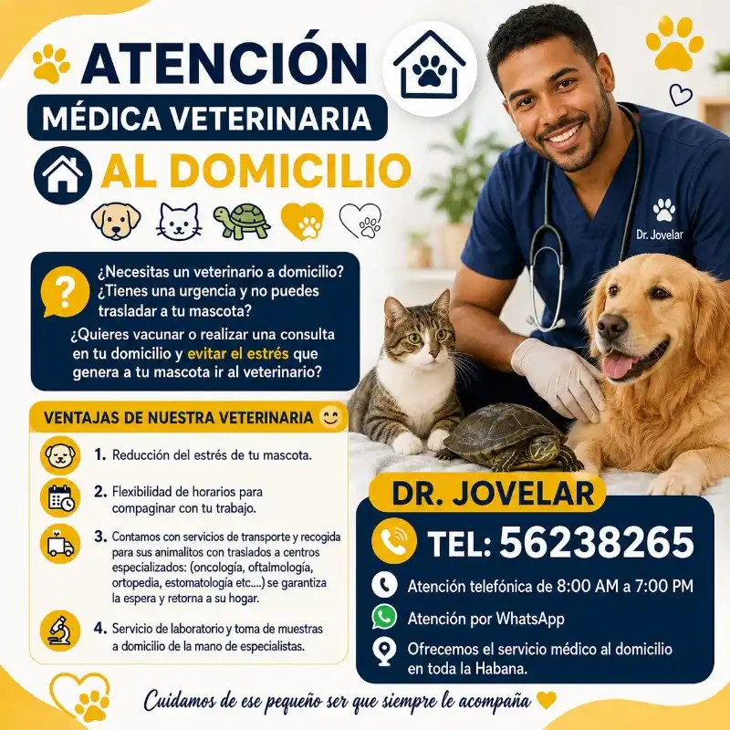 Veterinario a domicilio en La Habana – Dr. Jovelar