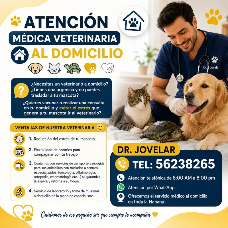 Veterinario a domicilio en La Habana – Dr. Jovelar