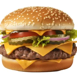 Suleiman Burguer de Pollo 