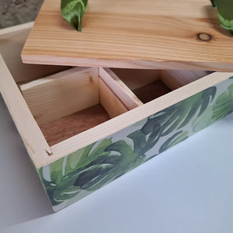 Caja c/6 divisiones 