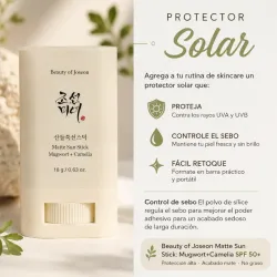 Beauty of Joseon Matte Sun Stick SPF50+ | Protector Solar Mate Antibrillo