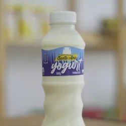 Yogurt Probiótico Natural Santa Ana (500 g)