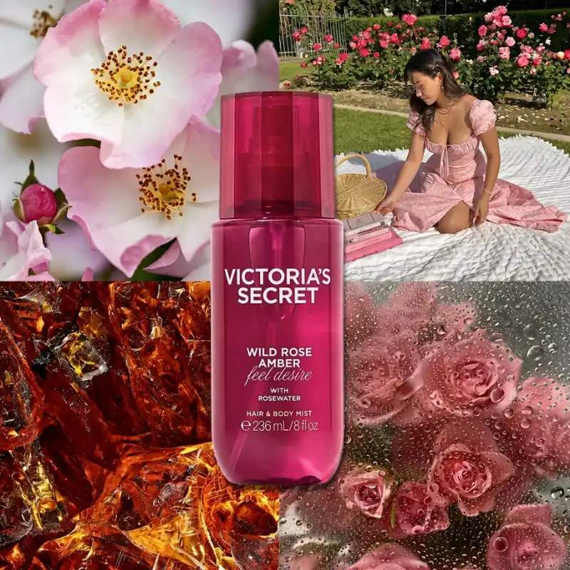 Mist Wild Rose Amber Victoria’s Secret