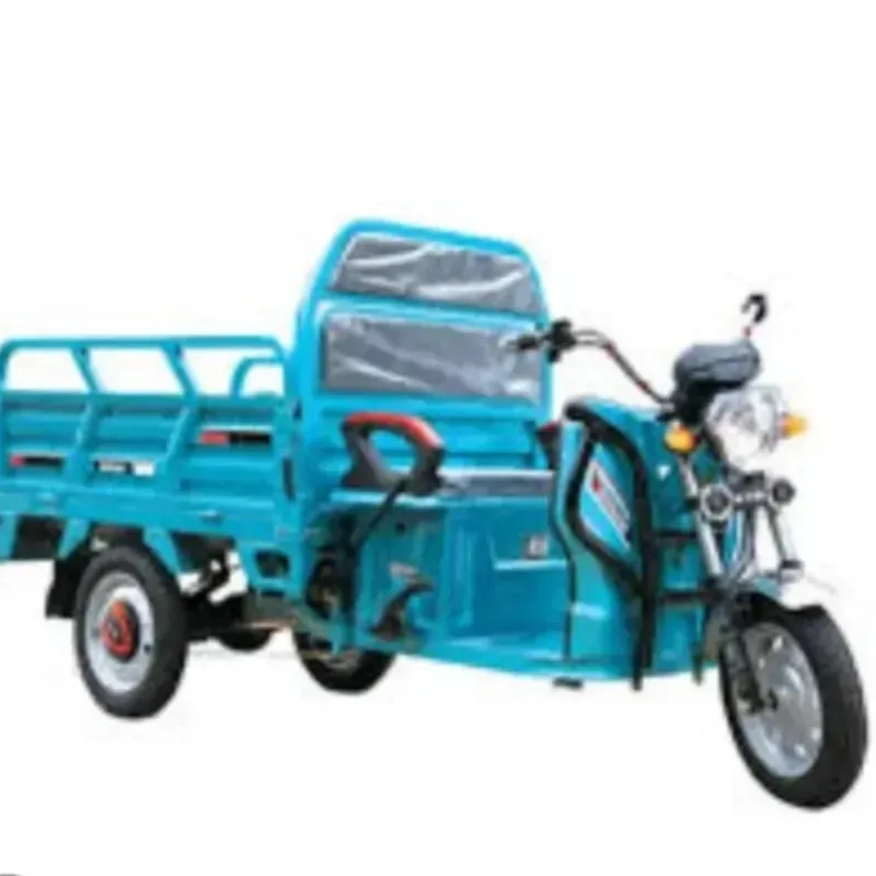 Triciculo eléctrico 