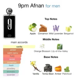 Afnan 9pm 100ml