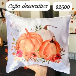 Cojín decorativo