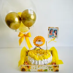 PASTEL 2