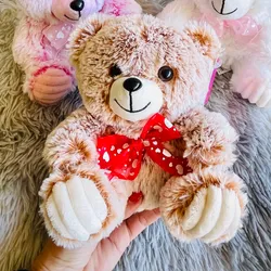 Peluche Osito