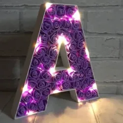 Letras de rosas con luces 💜