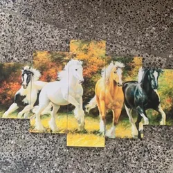 Caballos 🐎