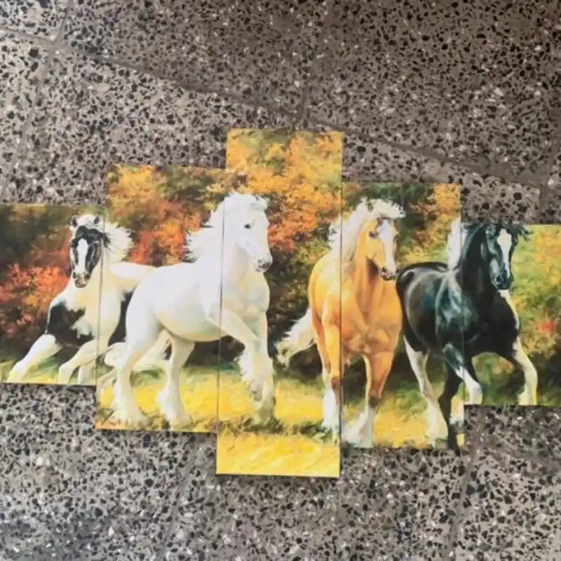 Caballos 🐎