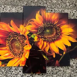 Girasoles🌻