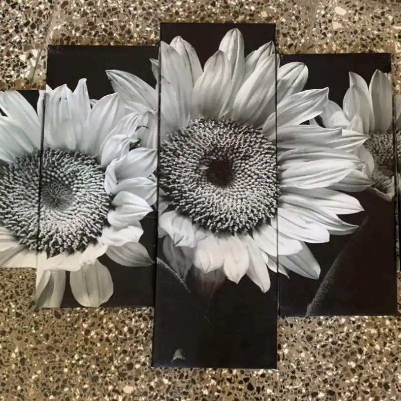 Girasoles blancos y negros