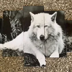 Lobo🐺