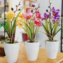 Maceta blanca con flores