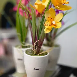 Maceta blanca con flores
