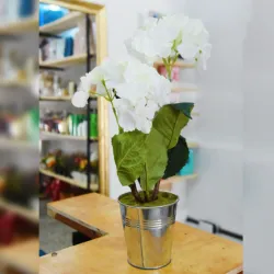 Maceta grande con flores Blancas