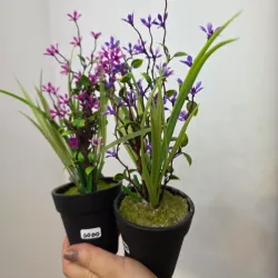 Maceta negra con flores