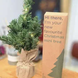Mini Árbol de Navidad con luces