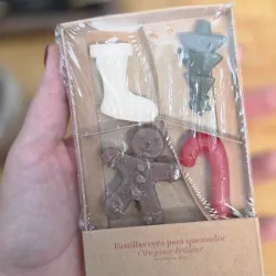 Pastillas de cera con olor para quemador