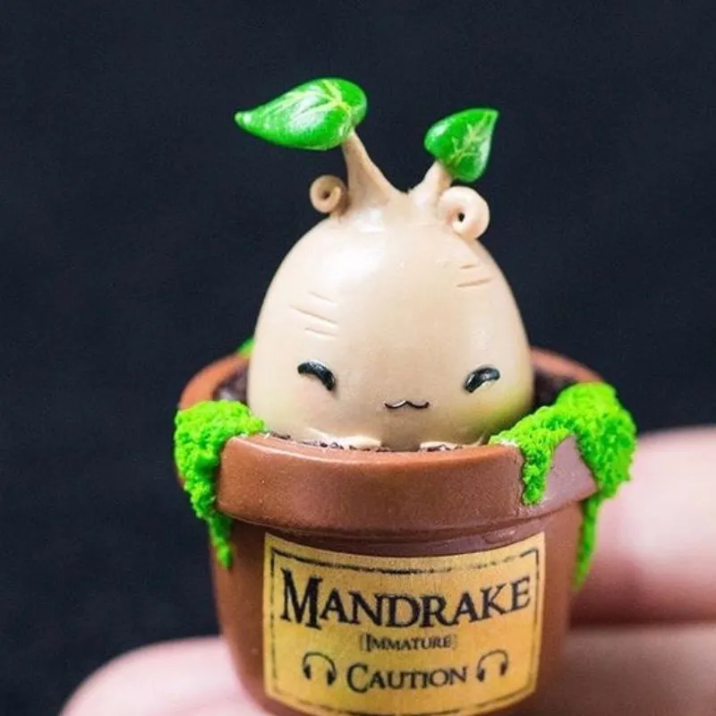 Mandrágora