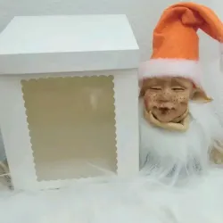 Dormilon 