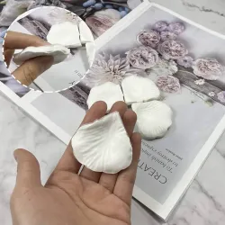 Paq de 1000 pétalos 