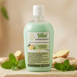 Acondicionador Jengibre y Menta 500ml