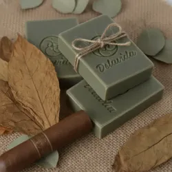 Aloe Vera, Tabaco y Árbol de Neem