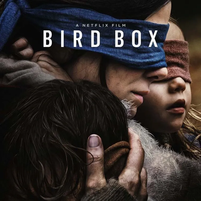 Bird Box a Ciegas [2018]