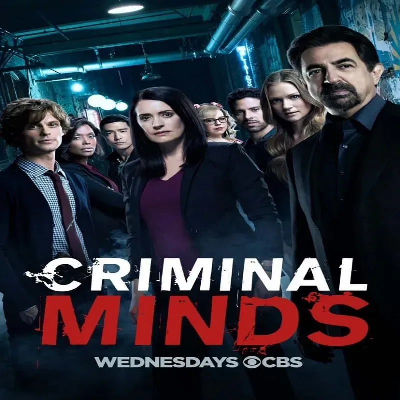 Criminal Minds (Temporada 17) [10 Cap]