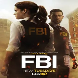 FBI (Temporada 6) [13 Cap]