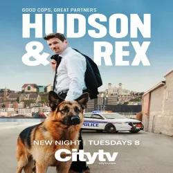 Hudson & Rex (Temporada 6) [16 Cap]