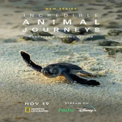 Incredible Animal Journeys (Temporada 1) [7 Cap]