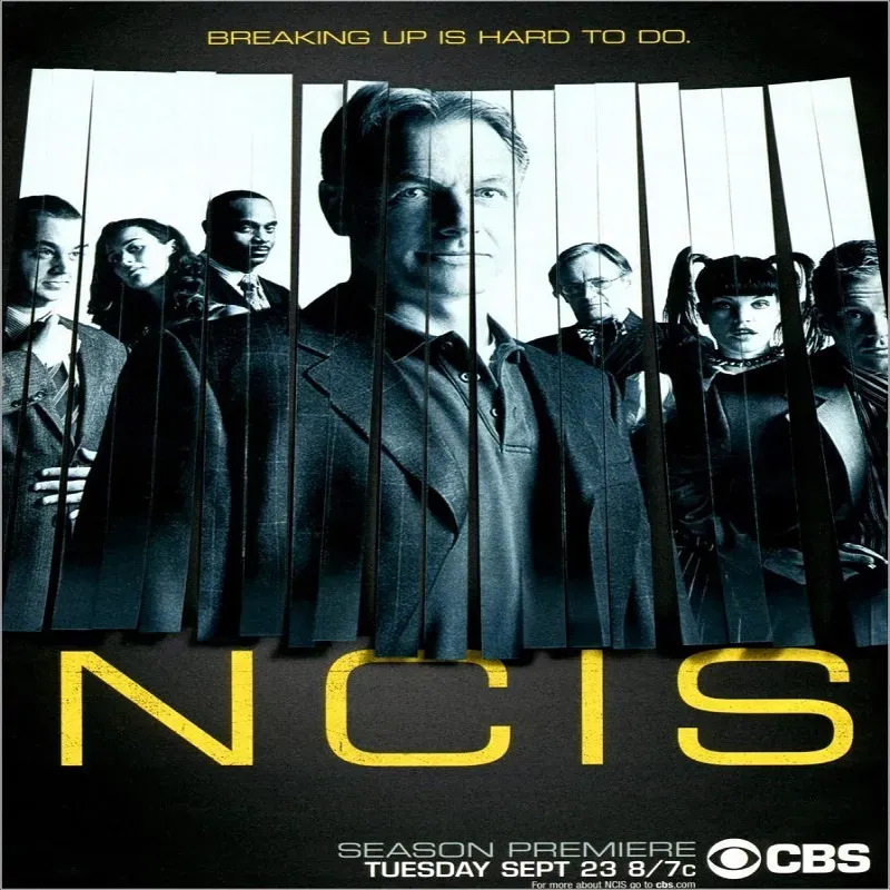 NCIS (21 Temporadas)