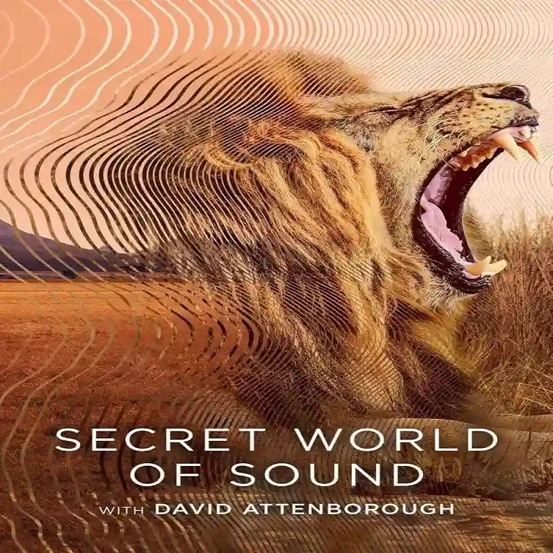 Secret World of Sound with David Attenborough (Temporada 1) [3 Cap] [Esp] UHD