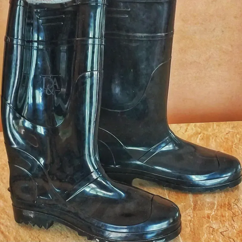 Botas de goma