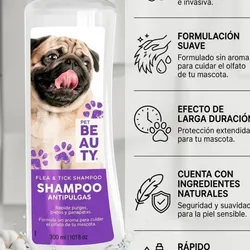 Shampo