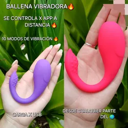 Ballenas Vibradoras