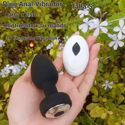 Plug Anal Vibrador 